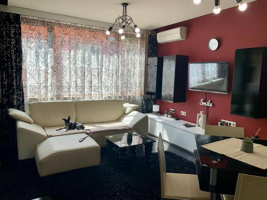 Lovely Sofia Apartment Katerina With Free Parking Exteriér fotografie